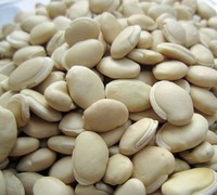 中药材批发白扁豆 人工精选优质白扁豆 药用白扁豆500克