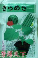 日本雪松F1进口嫁接砧木种 白南瓜籽黄瓜西瓜甜瓜专用150g/600粒