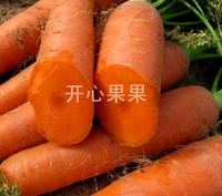 【开心果果】蔬菜种子批发 进口种子 高品质瑞丽红胡萝卜种子包邮