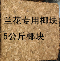 椰壳 5公斤大椰块 兰花专用椰块  椰块营养土  促销特卖 批发促销