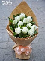 11朵白玫瑰鲜花速递同城北京上海深圳南昌佛山金华长春大庆昆明