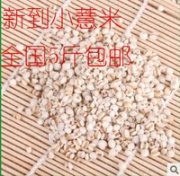 新鲜贵州小薏米500g 药用首选薏仁米食补 全国15省市5斤包邮