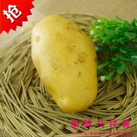 新鲜 土豆/马铃薯500g_新鲜蔬菜 今日特价秒杀菜市场生鲜超市