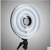 元科摄影灯具 环形节能灯 补光灯 冷光灯 两灯管 RFL-2