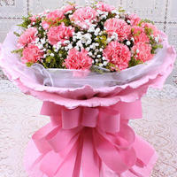 母亲节鲜花 成都鲜花店 妈妈的怀抱最温暖 粉色康乃馨花束