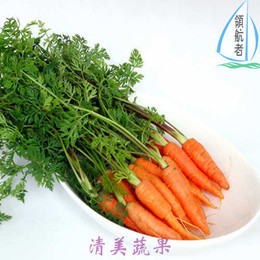 新鲜蔬菜 手指胡萝卜 带叶小胡萝卜 11.80/500g