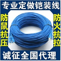 防鼠铠装光纤跳线LC/SC/ST/FC 单模/多模/双芯尾纤定做长度和接头