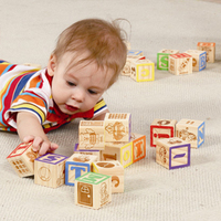 包邮 美国maxim木制益智玩具超大块50粒冲印字母数字单词积木