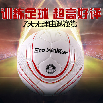 EcoWalker正品标准4号5号TPU足球 标准比赛青少年运动训练耐磨