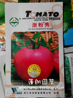 浙粉秀番茄种子- 精品农科院杂交一代 抗病大番茄西红柿蔬菜种子