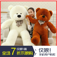 泰迪熊抱抱熊1.6米毛绒玩具pp棉公仔女生生日礼物大号布娃娃抱枕