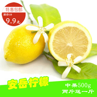 柠檬新鲜柠檬四川安岳 黄柠檬特产水果500g一级中果新鲜水果