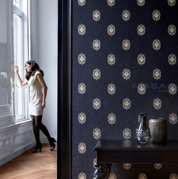 荷兰原装进口个性黑色墙纸 仿皮纹壁纸 客厅书房新古典风格MT14