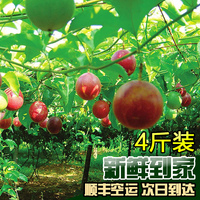 【果蜜约】广西百香果 热带新鲜水果鸡蛋果 西番莲4斤超大果顺丰