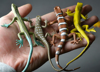 【天天特价】仿真爬行动物玩具模型蜥蜴壁虎变色龙巨蜥环保安全