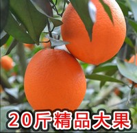 赣南脐橙20斤 橙子 孕妇水果甜橙子包邮 信丰脐橙特价新鲜水果