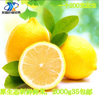 四川安岳柠檬新鲜黄柠檬特级柠檬果新鲜水果鲜柠檬2份起拍包邮