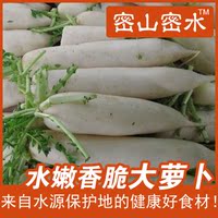 密云农家种植新鲜蔬菜白萝卜萝卜有机肥火锅食材新鲜速达10元/个