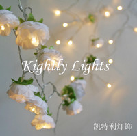 浪漫玫瑰花 婚庆用品/ 婚房布置装饰灯 2.5米玫瑰花电池彩灯串灯