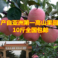 河南特产灵宝苹果高山红富士苹果原产地直供新鲜水果特价十斤包邮
