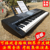 新韵 电子琴61键 XY-333 钢琴力度键 成人专业演奏琴特价包邮
