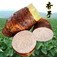 新鲜农产品绿色有机蔬菜槟榔芋现挖江永香芋味胜广西荔浦芋头5斤