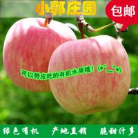 小郭苹果庄园山西临猗红富士新鲜苹果80-90果8斤送2斤包邮非烟台