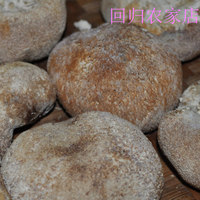 古田深山沟猴头菇干货 养胃山特级猴头菌蘑菇农家特产非野生250g