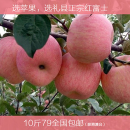 现摘现发2015礼县特产晚熟苹果6斤新鲜水果脆甜富士绿色有机苹果