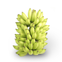 小米蕉 小香蕉 新鲜香蕉水果 云南特产 3斤 非海南香蕉芭蕉皇帝蕉