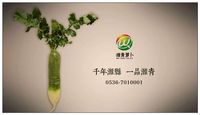 正宗潍县萝卜青萝卜潍坊特产新鲜蔬菜水果萝卜礼盒包装产地直发