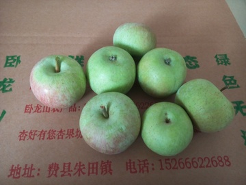 小国光苹果，山东沂蒙山新鲜苹果水果，老品种，满5斤限区包邮