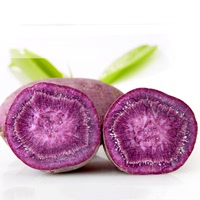 越南迷你小紫薯6斤 新鲜小番薯红薯山芋地瓜新鲜粗粮dcEAcbF7