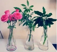 锥形玻璃花瓶 花瓶 水培花瓶 水培花器 餐厅桌面单枝花瓶 插花器