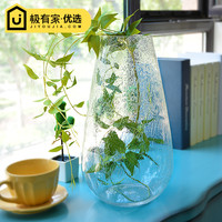 大号创意花瓶玻璃透明 客厅欧式摆件水培绿萝 简约家居用品装饰品