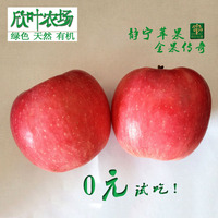 【欣愿】苹果水果静宁苹果75号冰糖心红富士苹果包邮非烟台阿克苏