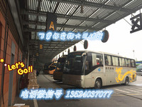 专业宠物服务上海宠物托运至苏浙皖地区汽车运输宠物！