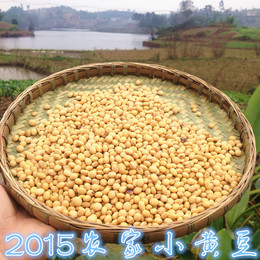 2015黄豆农家打豆浆专用非转基因 有机小黄豆 能发豆芽 4份包邮