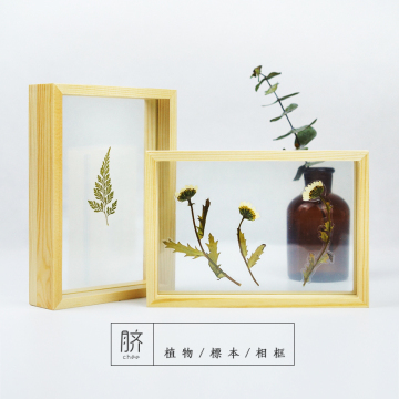 [脐]原创手工植物标本双面玻璃实木相框画框摆台/家居饰品/伴手礼