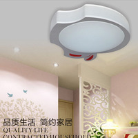 华南铁艺创意苹果形状吸顶灯客厅卧室书房异形LED吸顶灯1054