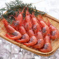 舌尖食材| 东海活虾美味大虾出水海鲜嫩滑香辣有嚼劲