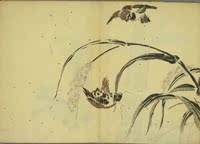 【古籍】会席画谱.長谷川 雪旦画 日本画师绘植物动物人物图谱