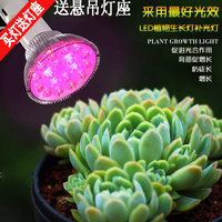 LED植物生长灯补光灯 多肉植物 大棚室内植物 花卉红蓝光合作用灯