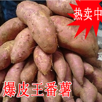 高州番薯特产新鲜白心地瓜粉薯王(红皮白肉)-爆皮王番薯