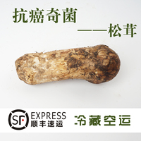 松茸新鲜舌尖上的中国云南野生菌香格里拉菌菇礼5-7cm［2斤包邮］