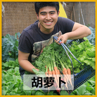 促销全国配送 农家传统新鲜有机蔬菜胡萝卜500g 非转基因宝宝辅食