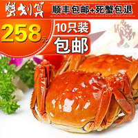 【买8送2】蟹缘现货宝应湖大闸蟹鲜活螃蟹全母2.9-2.5两十只