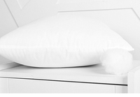 定做沙发抱枕枕芯 百搭纯色靠垫枕芯  PP棉45X45
