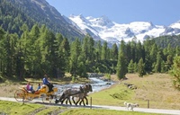 瑞士 租用马车 与少女峰相遇 因特拉肯-Interlaken 少女峰 单程