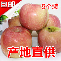 2015年山西临猗新鲜红富士苹果水果脆甜苹果9个装